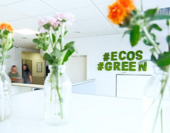 ecos work spaces – Saarbrücken - Bild 1